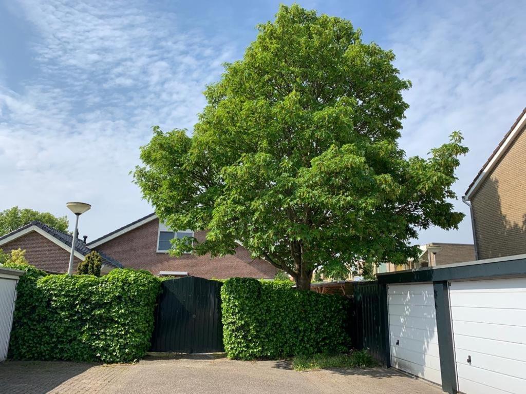 Oostvoornsch Gastenverblijf Oostvoorne Extérieur photo